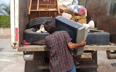 TRABAJA GOBIERNO PARA DISMINUIR LA PROLIFERACIÓN DEL MOSCO