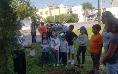 PREVÉ ECOLOGÍA PLANTAR 4 MIL ÁRBOLES ESTA TEMPORADA EN LA CIUDAD