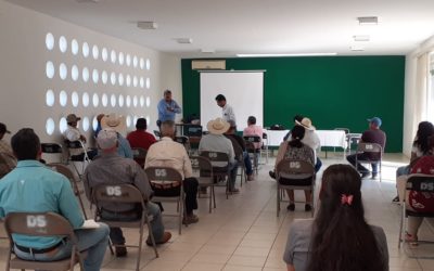 ESTABLECEN REGLAS DE OPERACIÓN DEL PROGRAMA DE SUBSIDIO PARA EL CAMPO