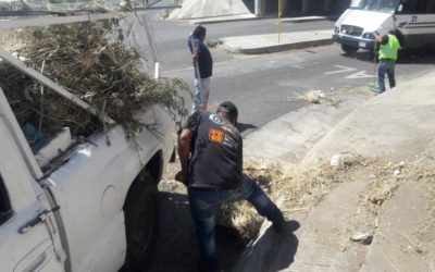 REALIZAN LIMPIEZA EN DIVERSOS PUNTOS DE LA CIUDAD