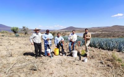 ARRANCA MAPEO DE SUELO AGRÍCOLA EN LA PIEDAD