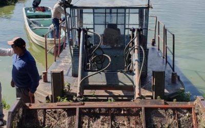 PROGRAMAN RETIRO DE LIRIO ACUÁTICO EN RÍO LERMA