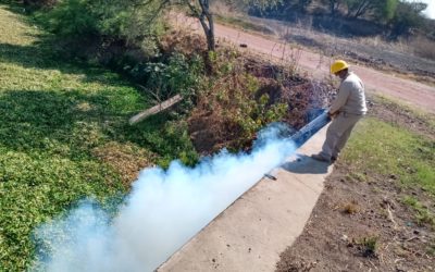 INICIAN FUMIGACIÓN EN EL MARGEN DEL RÍO LERMA