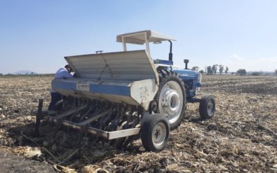 REACTIVAN PROYECTO “RETO RASTROJO” EN TICUÍTACO