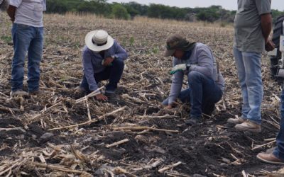 PRESENTAN SEGUNDA EDICIÓN DE “COSECHANDO AGUA”