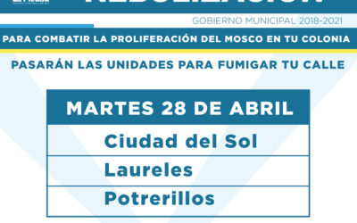 ESTABLECEN ACCIONES PARA REALIZAR NEBULIZACIÓN CONTRA EL MOSQUITO