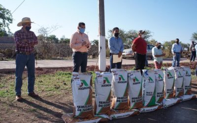 ENTREGAN BULTOS DE GRANO DE MAÍZ Y SORGO A PRODUCTORES DEL CAMPO
