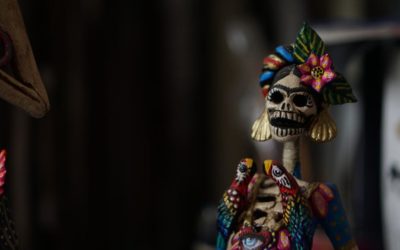 LLEVARÁN LA CULTURA A TRAVÉS DE INTERNET