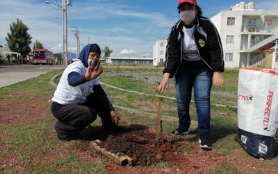 EN COLABORACIÓN CON VECINOS SE REFORESTA VILLAS DE LA LOMA