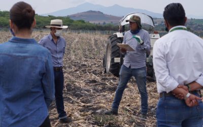 CIERRA PROGRAMA SUBSIDIO DE HERBICIDAS PARA EL CAMPO