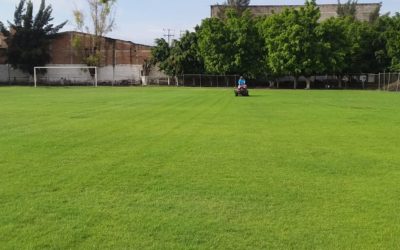 DAN MANTENIMIENTO A LAS UNIDADES DEPORTIVAS