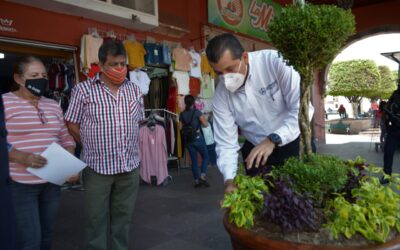 COMERCIANTES ACEPTAN EN ADOPCIÓN MACETONES CON PLANTAS