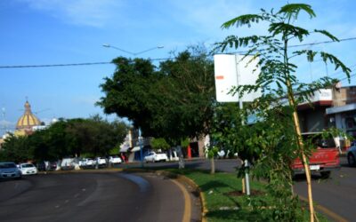REHABILITARÁN CAMELLONES EN BULEVARES
