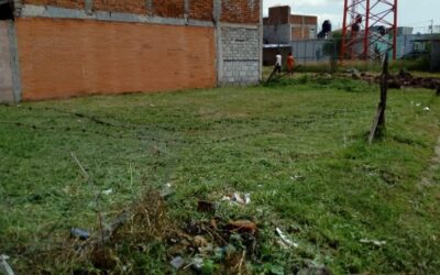 REALIZAN LABORES DE LIMPIEZA EN EL FRACCIONAMIENTO EL CUITZILLO