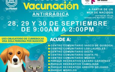 HABRÁ JORNADA NACIONAL DE VACUNACIÓN ANTIRRÁBICA CANINA Y FELINA