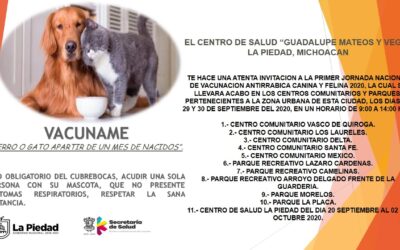 HABRÁ JORNADA NACIONAL DE VACUNACIÓN ANTIRRÁBICA CANINA Y FELINA