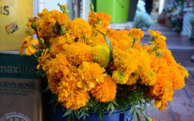 NO HABRÁ PERMISOS PARA VENTA DE FLORES AMBULANTES POR DÍA DE MUERTOS