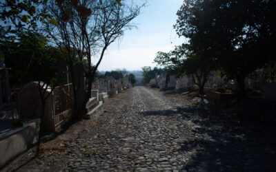 ACCESOS EN EL INTERIOR DEL PANTEÓN MUNICIPAL YA SON TRANSITABLES