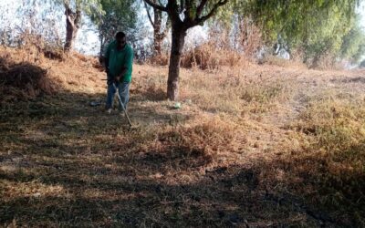 LIMPIAN ESPACIOS AL AIRE LIBRE EN EL FRACCIONAMIENTO EL CUITZILLO