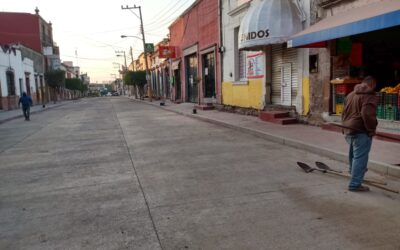 COLOCAN ÁRBOLES EN LA CALLE HIDALGO