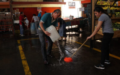 FUMIGAN Y SANITIZAN MERCADOS DE LA CIUDAD