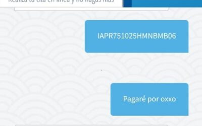 PIDEN A CIUDADANOS NO CAER EN FRAUDE POR TRÁMITES DE PASAPORTES POR INTERNET