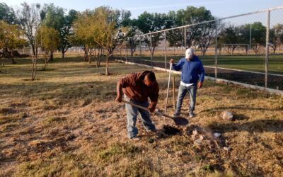 PLANTARÁN MIL ÁRBOLES EN LA UNIDAD BICENTENARIO