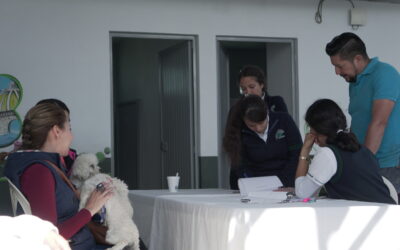 INICIARÁ PROGRAMA DE CONTROL CANINO ITINERANTE