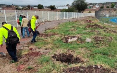 INICIAN CAMPAÑA DE REFORESTACIÓN
