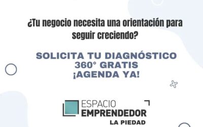 BRINDAN ASESORÍA PARA CREAR O REFORZAR EMPRESAS