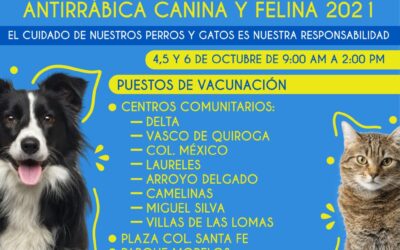 INVITAN A JORNADA DE VACUNACIÓN ANTIRRÁBICA EN EL MUNICIPIO