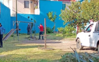 MEJORAN ÁREAS VERDES EN DIFERENTES PUNTOS DE LA CIUDAD