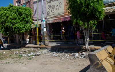 POR REHABILITACIÓN DE CALLE CÉNTRICA, SE REUBICA ÁRBOL