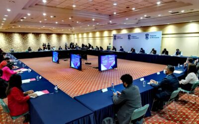 AGILIZAN TRÁMITE PARA LICENCIAS COMERCIALES EN LA PIEDAD