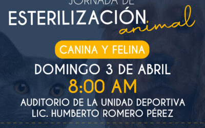 PROMUVEN JORNADA DE ESTERILIZACIÓN ANIMAL