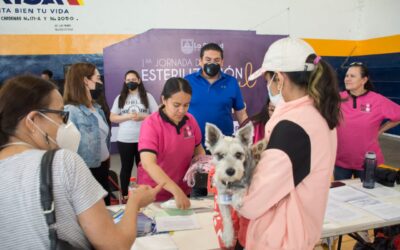 RESULTADOS FAVORABLES EN CAMPAÑA DE ESTERILIZACIÓN ANIMAL