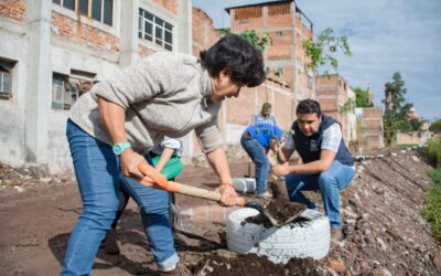 REFORESTAN ÁREA PEATONAL