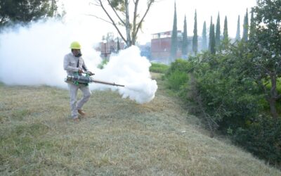INICIAN CAMPAÑA DE FUMIGACIÓN PARA MOSQUITOS