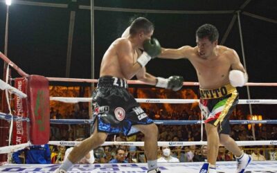DIFUNDEN EL DEPORTE A TRAVÉS DE BOXEO, MUAY THAI Y ARTES MARCIALES MIXTAS