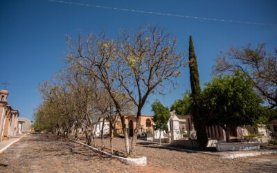 DAN CONTINUIDAD A LIMPIEZA Y MANTENIMIENTO AL PANTEÓN MUNICIPAL