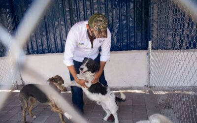 LA PIEDAD CUENTA CON EL SEGUNDO ESPACIO DE ATENCIÓN CANINA EN EL ESTADO
