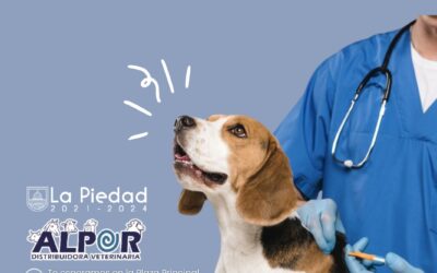 HABRÁ JORNADA DE VACUNACIÓN PARA CANINOS