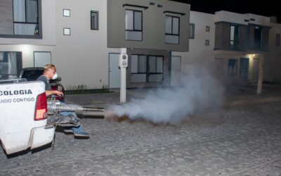 GOBIERNO DE LA PIEDAD CONTINÚA CON LABORES DE FUMIGACIÓN CONTRA EL MOSCO