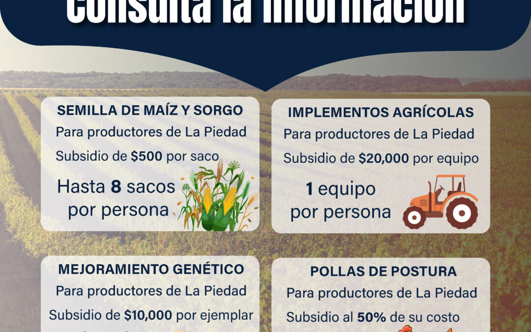 HAY CONTINUIDAD CON APOYOS AL CAMPO DE LA PIEDAD