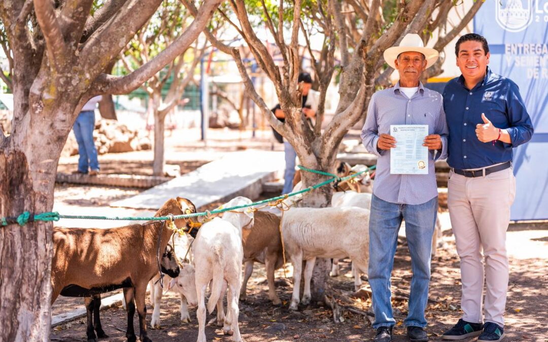 BUSCA GOBIERNO DE LA PIEDAD FORTALECER LA PRODUCCIÓN GANADERA